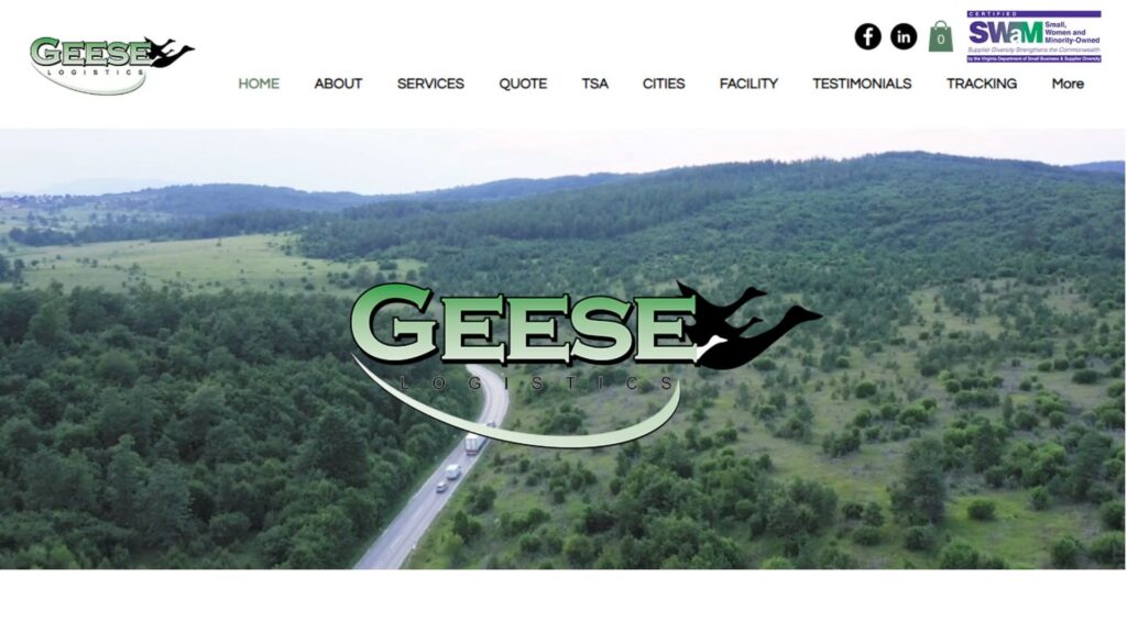 GEESE Logística - Virginia